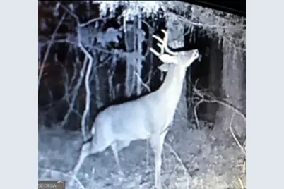 153 N Whatley Road, Lagrange, GA 30240 - Photo 83