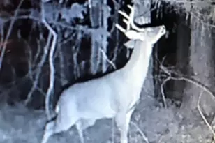 153 N Whatley Rd, Lagrange, GA 30240 - Photo 83