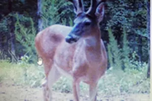 153 N Whatley Rd, Lagrange, GA 30240 - Photo 85