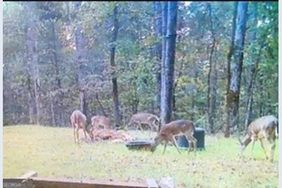 153 N Whatley Road, Lagrange, GA 30240 - Photo 89