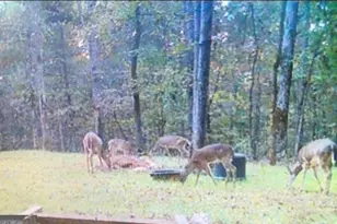 153 N Whatley Rd, Lagrange, GA 30240 - Photo 89