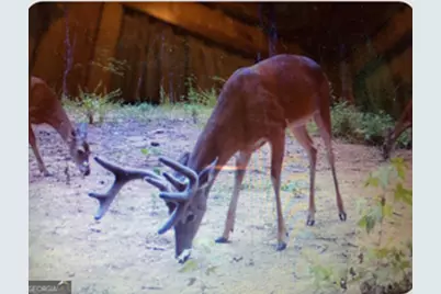 153 N Whatley Road, Lagrange, GA 30240 - Photo 87