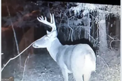 153 N Whatley Road, Lagrange, GA 30240 - Photo 81