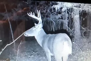 153 N Whatley Rd, Lagrange, GA 30240 - Photo 81