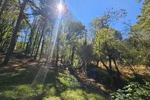 228 Honeysuckle Rd, Monticello, GA 31064 - Photo 7