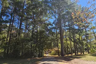 228 Honeysuckle Rd, Monticello, GA 31064 - Photo 3