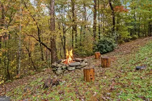 169 Wildwood Ct, Ellijay, GA 30540 - Photo 39