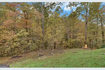 169 Wildwood Court, Ellijay, GA 30540 - Photo 41