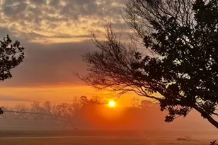 16877 Ga Hwy 129 S, Cobbtown, GA 30420 - Photo 45