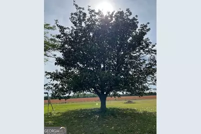 16877 Ga Highway 129 S, Cobbtown, GA 30420 - Photo 39