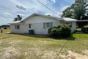 16877 Ga Hwy 129 S, Cobbtown, GA 30420 - Photo 5