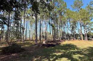 3833 Chris Cir, Valdosta, GA 31605 - Photo 23