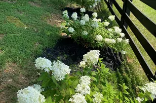 1654A Ward Mountain Rd NE, Rome, GA 30161 - Photo 113