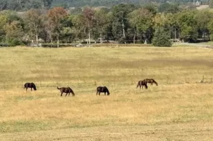 1654A Ward Mountain Rd NE, Rome, GA 30161 - Photo 117