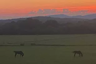 1654A Ward Mountain Rd NE, Rome, GA 30161 - Photo 93