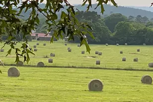 1654A Ward Mountain Rd NE, Rome, GA 30161 - Photo 111