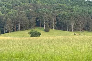 1654A Ward Mountain Rd NE, Rome, GA 30161 - Photo 109