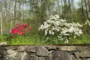 1654A Ward Mountain Rd NE, Rome, GA 30161 - Photo 89