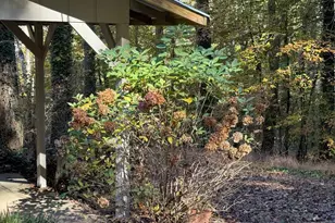 382 Sherwood Dr, Clarkesville, GA 30523 - Photo 21