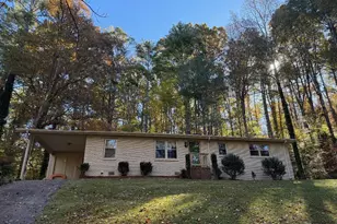 382 Sherwood Dr, Clarkesville, GA 30523 - Photo 27