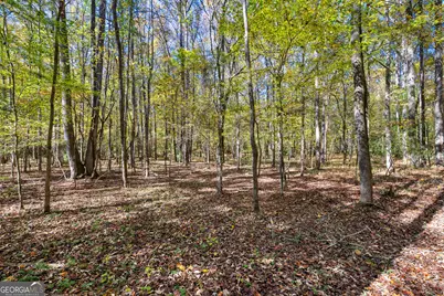 4893 New Franklin Road, Hogansville, GA 30230 - Photo 83