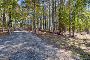 4893 New Franklin Rd, Hogansville, GA 30230 - Photo 105