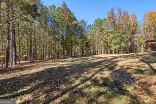 4893 New Franklin Rd, Hogansville, GA 30230 - Photo 73