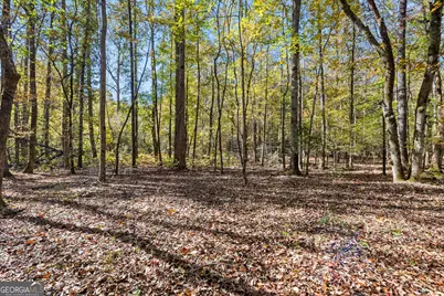 4893 New Franklin Road, Hogansville, GA 30230 - Photo 81