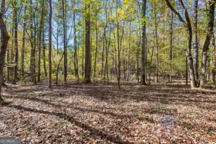 4893 New Franklin Rd, Hogansville, GA 30230 - Photo 81