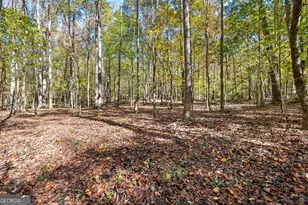 4893 New Franklin Rd, Hogansville, GA 30230 - Photo 87