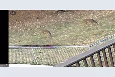 4893 New Franklin Road, Hogansville, GA 30230 - Photo 107