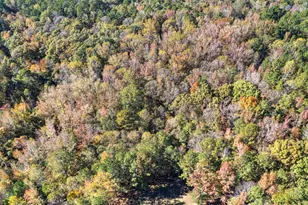 4893 New Franklin Rd, Hogansville, GA 30230 - Photo 77