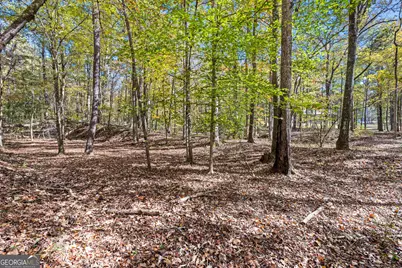 4893 New Franklin Road, Hogansville, GA 30230 - Photo 85