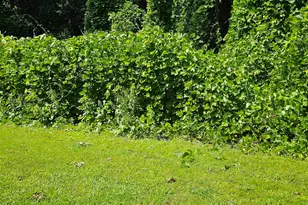 6354 Shannon Pkwy, Union City, GA 30291 - Photo 11