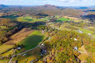 106 Settawig Rd, Brasstown, NC 28902 - Photo 77