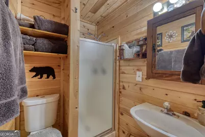 63 Laras Peace Lane, Blairsville, GA 30512 - Photo 17