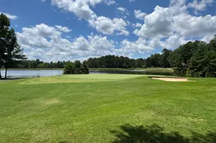 161 Lake Shore Dr, Newnan, GA 30265 - Photo 75