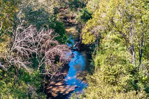 860 N Walker's Mill Rd, Griffin, GA 30223 - Photo 91