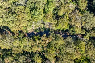 860 N Walker's Mill Rd, Griffin, GA 30223 - Photo 93