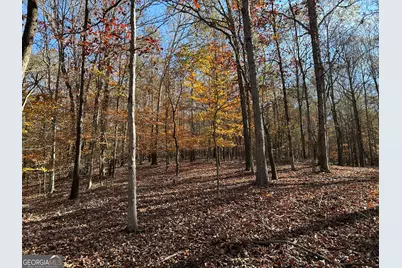 0 Dove Hill Road, Royston, GA 30662 - Photo 17