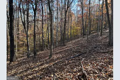 0 Dove Hill Road, Royston, GA 30662 - Photo 9