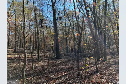 0 Dove Hill Road, Royston, GA 30662 - Photo 7