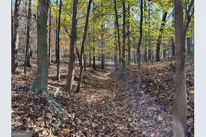 0 Dove Hill Road, Royston, GA 30662 - Photo 13