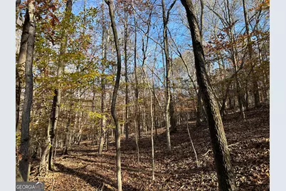 0 Dove Hill Road, Royston, GA 30662 - Photo 15