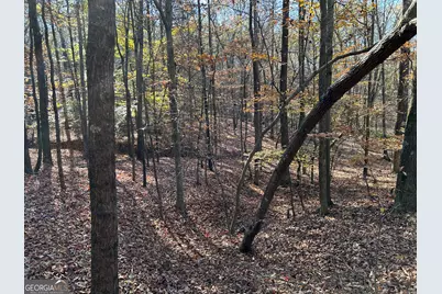 0 Dove Hill Road, Royston, GA 30662 - Photo 11