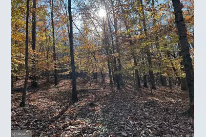 0 Dove Hill Road, Royston, GA 30662 - Photo 3