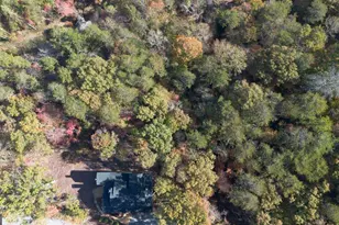 106 Still Run, Morganton, GA 30560 - Photo 51