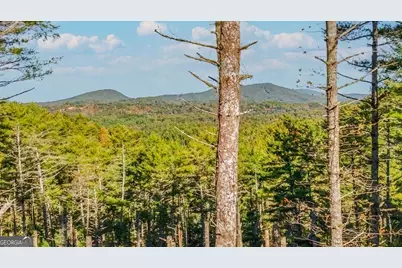 106 Still Run, Morganton, GA 30560 - Photo 3