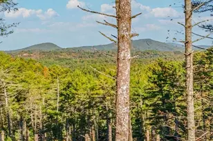 106 Still Run, Morganton, GA 30560 - Photo 3