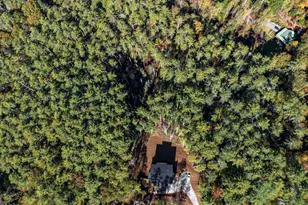 106 Still Run, Morganton, GA 30560 - Photo 53